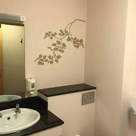 Rowan Tree Hostel Ennis